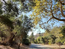 Explore Franklin Canyon Park