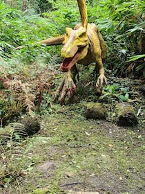 Explore the wild at Combe Martin Wildlife & Dinosaur Park