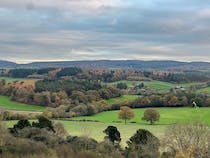 Explore the scenic trails at Newlands Corner