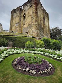 Explore Guildford Castle's historic grounds and tower
