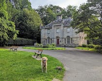 Explore the beauty of Blackford Hill Nature Reserve