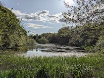 Explore Blackford Hill and Pond