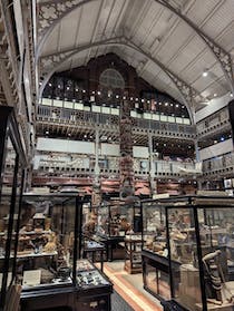 Explore the treasures at Pitt Rivers Museum