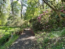 Explore the enchanting gardens of Lydney Park