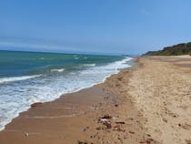 Explore East Runton Beach