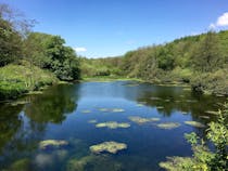 Explore Otterhead Lakes