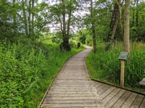 Explore Sculthorpe Moor Nature Reserve