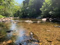 Explore Tarr Steps Nature Reserve