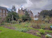 Discover a Secret Garden at Chelsea Physic Garden