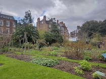 Discover a Secret Garden at Chelsea Physic Garden