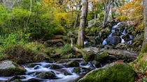 Explore Becky Falls Ancient Woodland Park