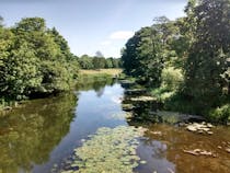 Explore Anderson's Meadow