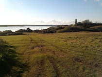 Explore the nature at RSPB Hodbarrow