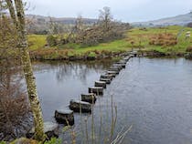 Explore Stepping Stones