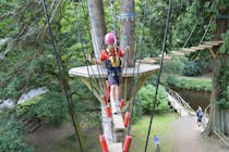 Enjoy outdoor adventures at River Dart Country Park