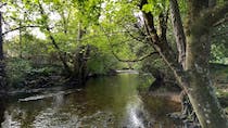 Take a stroll through Mill Marsh Park