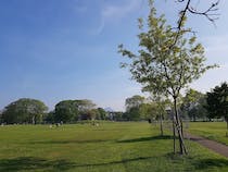 Explore Leith Links Park