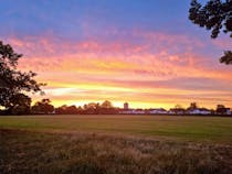 Get outdoors at North Acton Playing Fields