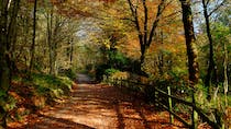 Explore the Ingleborough Estate Nature Trail