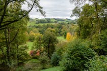Explore the wonders of Winkworth Arboretum