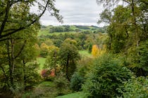 Explore the wonders of Winkworth Arboretum