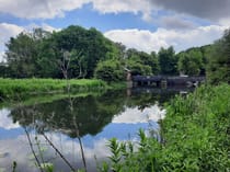 Discover Horstead Mill