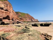 Explore the Stunning Cliffs at Orcombe Point