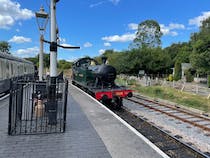 Explore the South Devon Railway