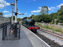 Explore the South Devon Railway