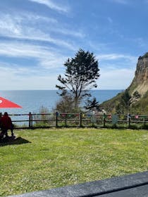 Have lunch with a view at Jurassic Bites