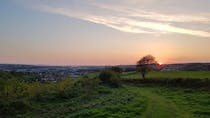 Enjoy the sunset at Yeo Valley Community Woodland