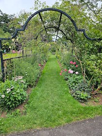 Explore the tranquil Tessier Gardens