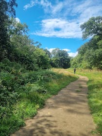 Explore Parke's scenic woodland walks