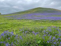 Enjoy the stunning views at Cam Peak