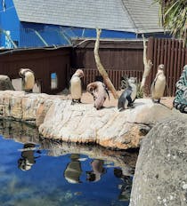 Explore the Spectacular SEA LIFE Centre