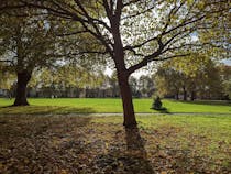 Soak up the sun at Millfields Park