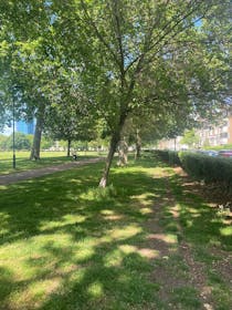 Soak up the sun at Hackney Downs