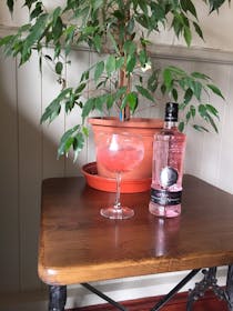 Enjoy a Relaxing Drink and Great Service at Orchard Gardens