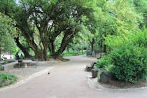 Wander through the Estrela Garden