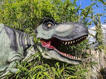 Meet the dinosaurs at Dino Park