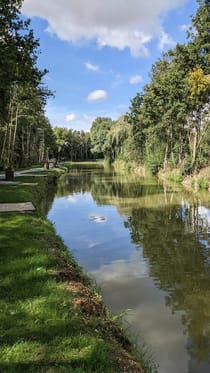 Experience Fishing and Nature at East Bilney Lakes