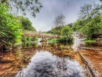 Explore Rutter Force's enchanting waterfalls