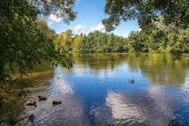 Explore the picturesque Weald Country Park