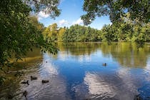 Explore the picturesque Weald Country Park