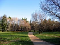 Enjoy a leisurely stroll through Park Vaugrenier