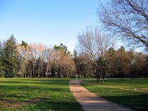 Enjoy a leisurely stroll through Park Vaugrenier