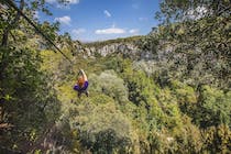 Explore Canyon Forest