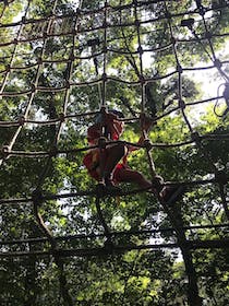 Experience acrobranche adventure at Pitchoun Forest