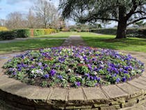 Explore Rockliffe Gardens