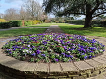 Explore Rockliffe Gardens